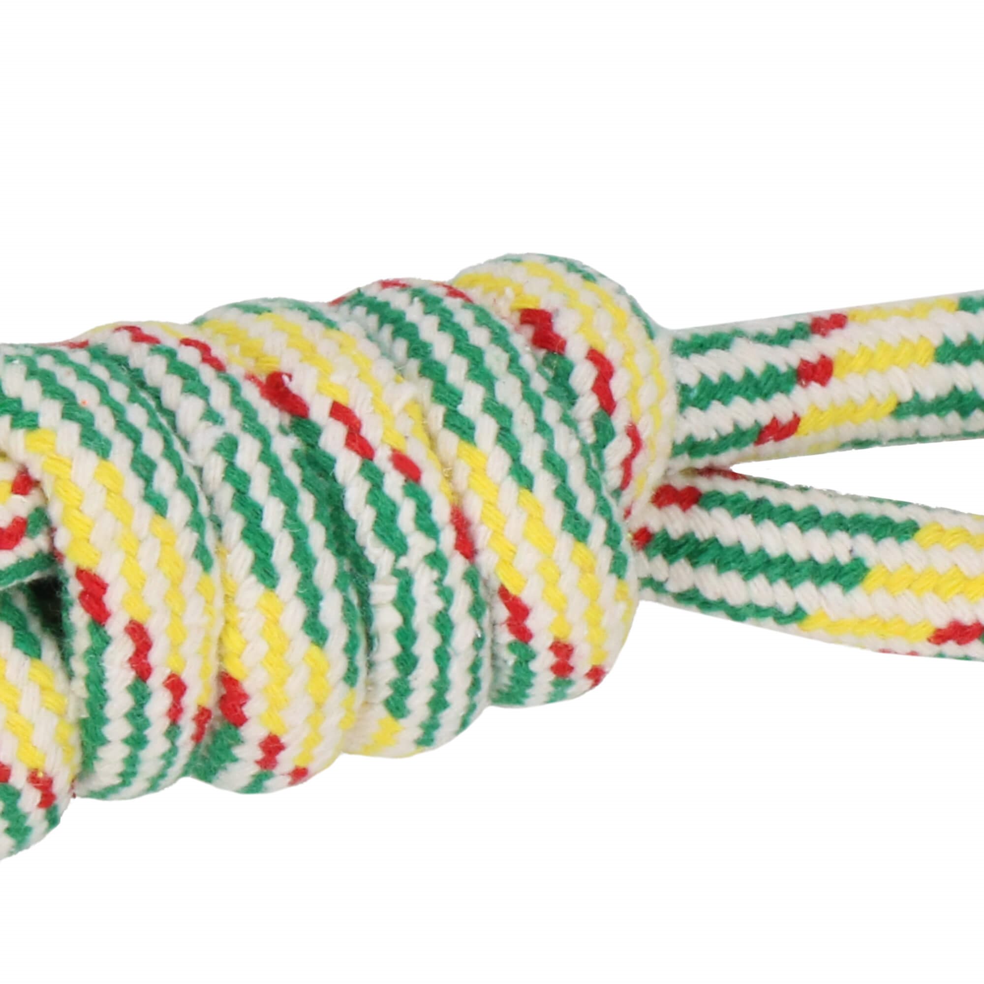 Šuns žaislas springos pa0276, 35 cm