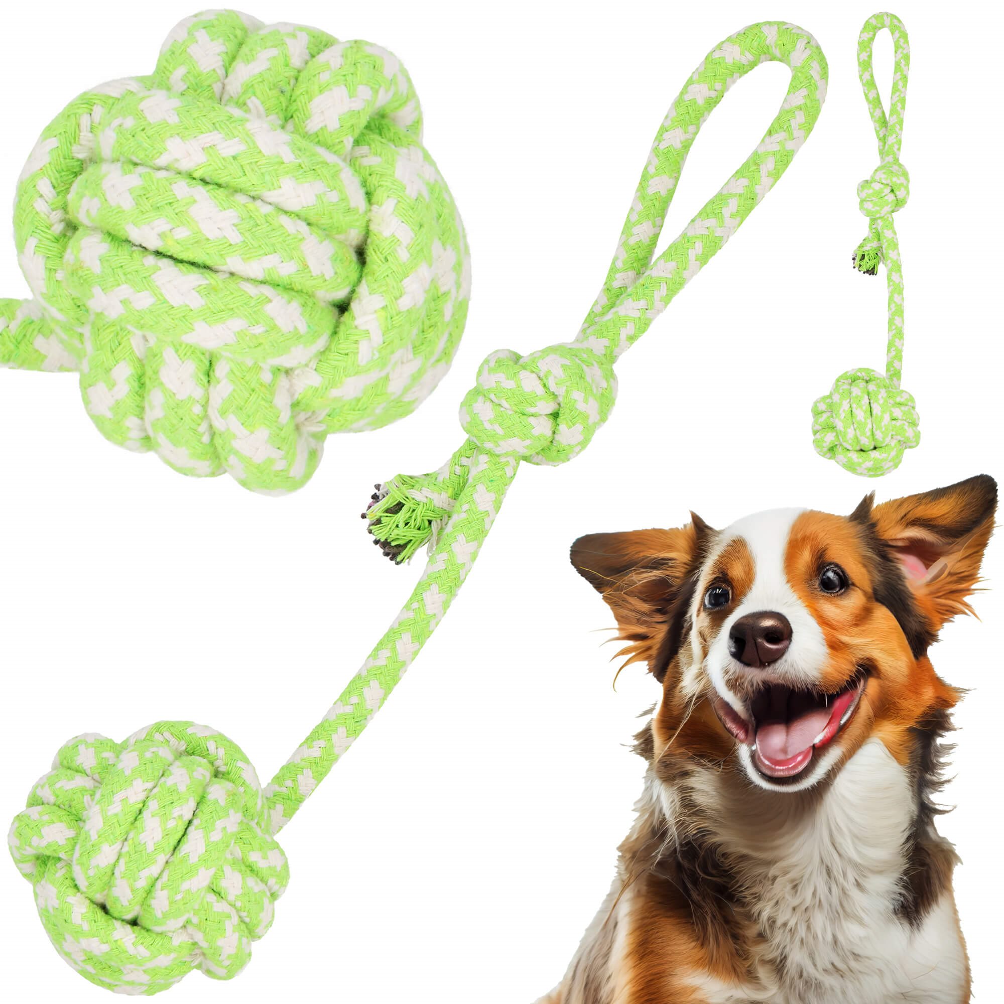 Žaislas šuniui springos 38 cm