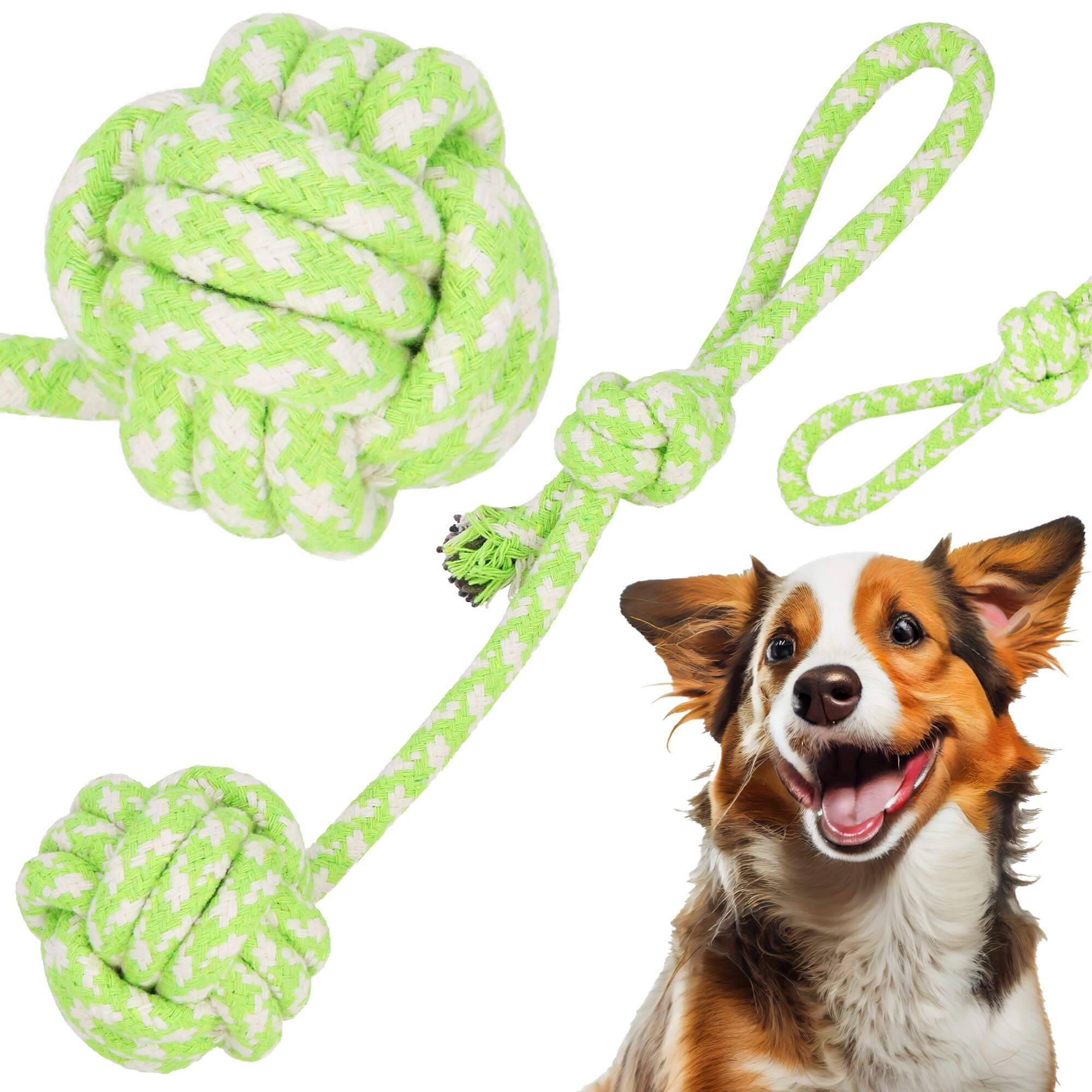 Žaislas šuniui springos 38 cm