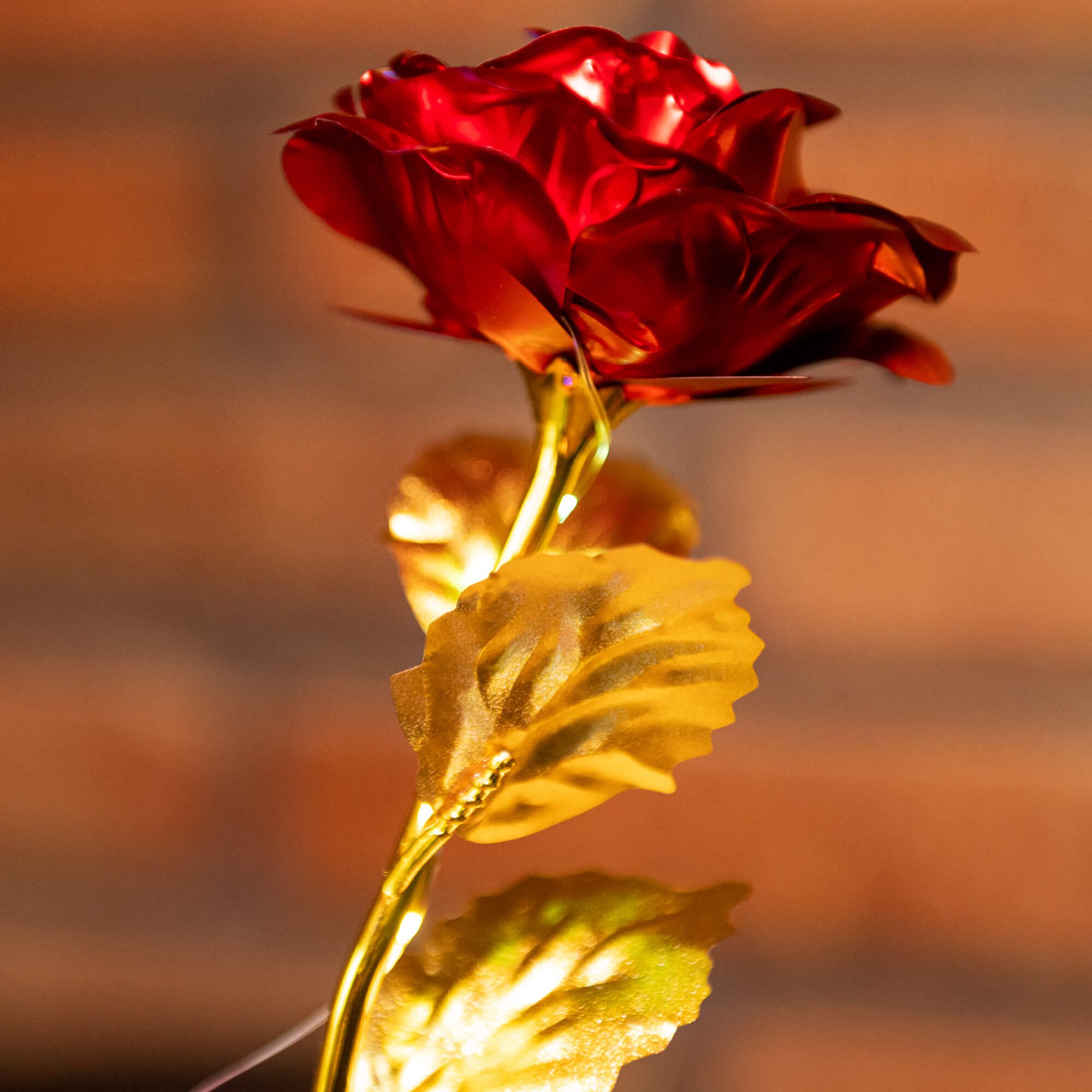 Dirbtinė rožė springos, 25 cm, su led apšvietimu, raudona 1