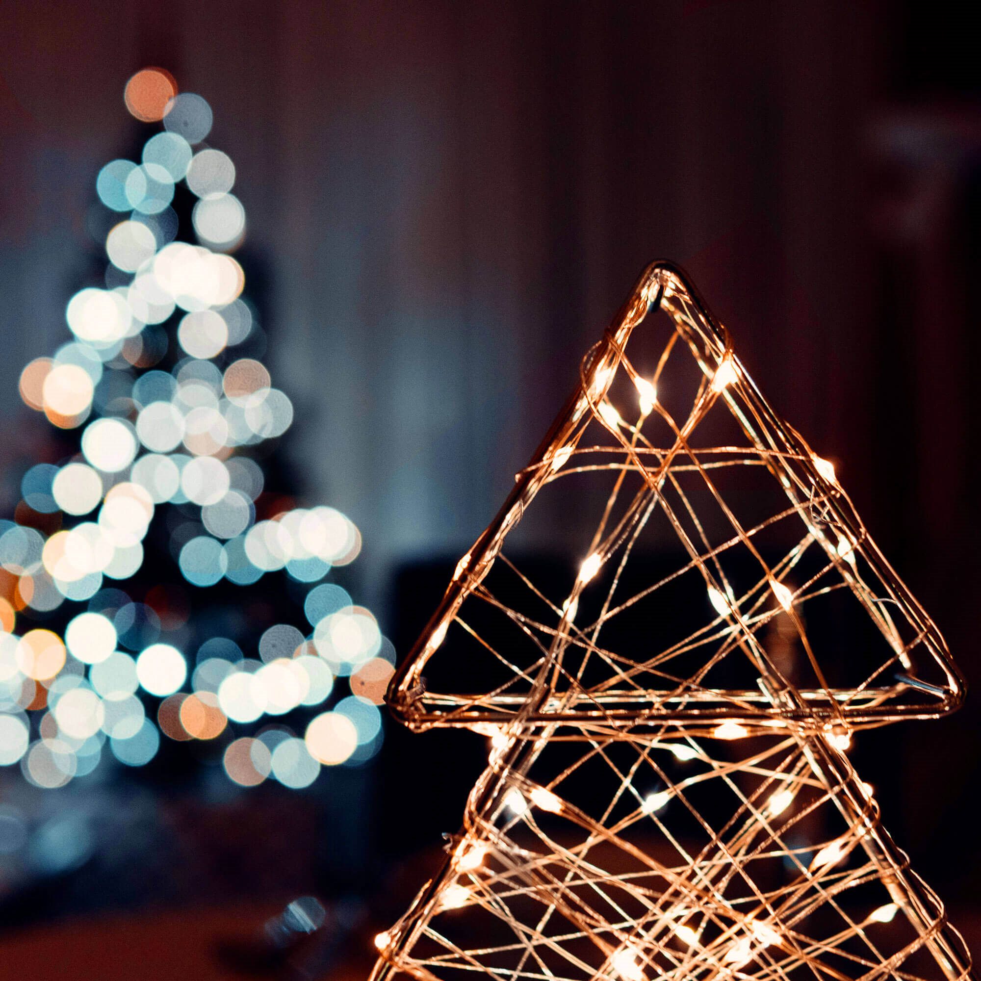 Led girlianda su šilta balta šviesa