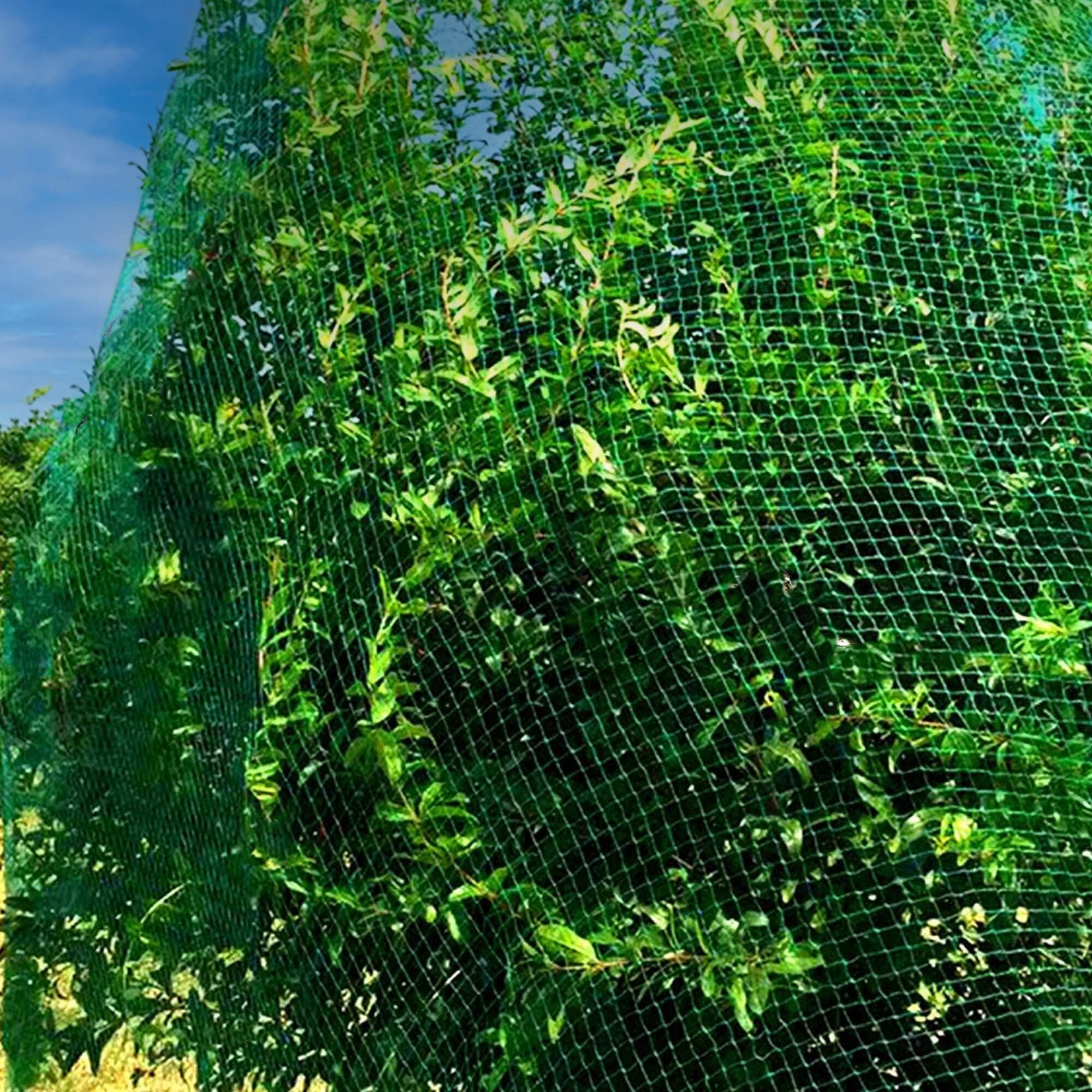 Apsauginis tinklelis nuo paukščių springos 8x14 m su 14 tvirtinimo kaiščių