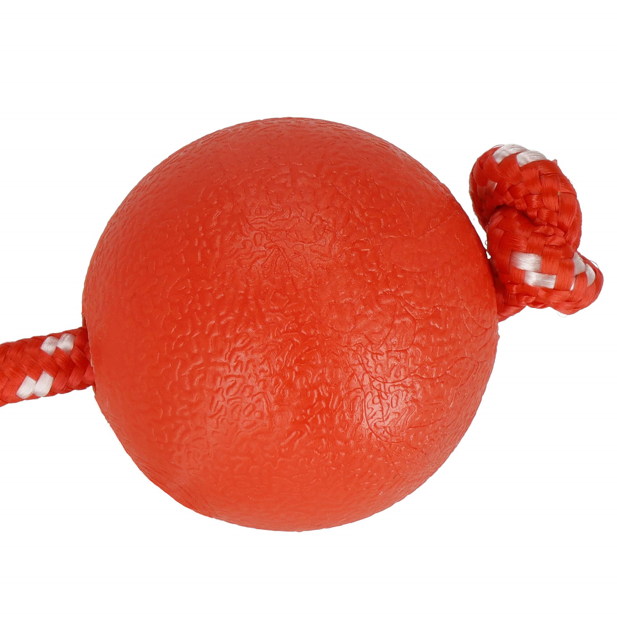 Springos šunų žaislas su virve ir kamuoliuku, 50 cm