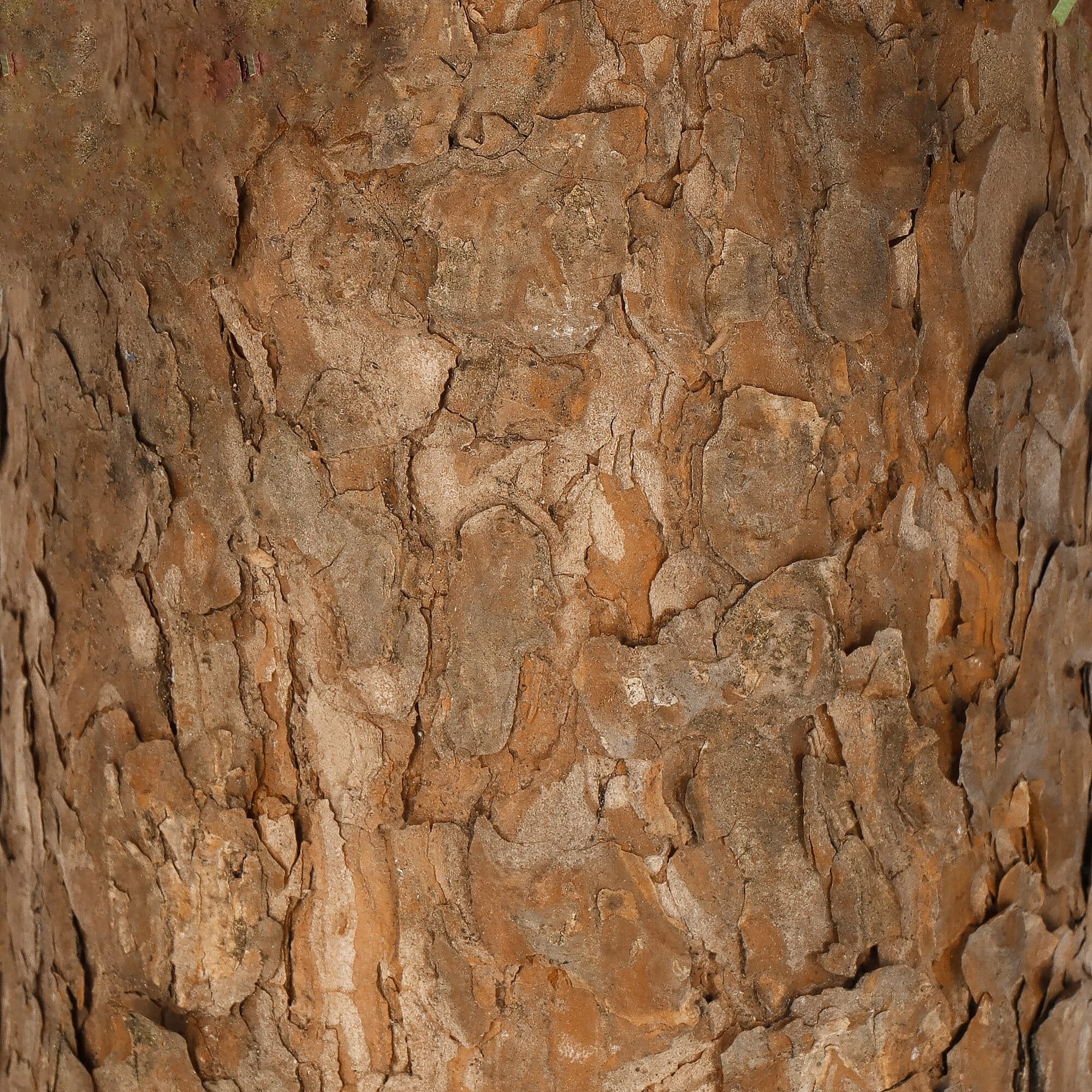 Dirbtinė Kalėdų eglutė ant medinio kamieno, žalia, 90 cm 2