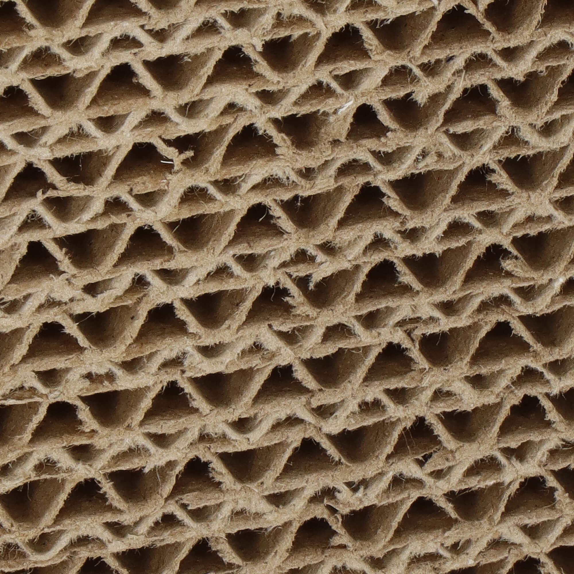 Draskyklė katėms springos pa1080, kartoninė