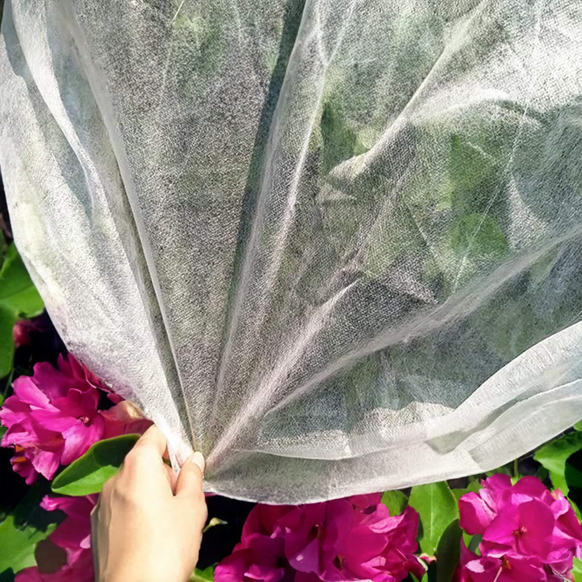 Agrotekstilė springos 50g/m2 10x1,1 m balta 1