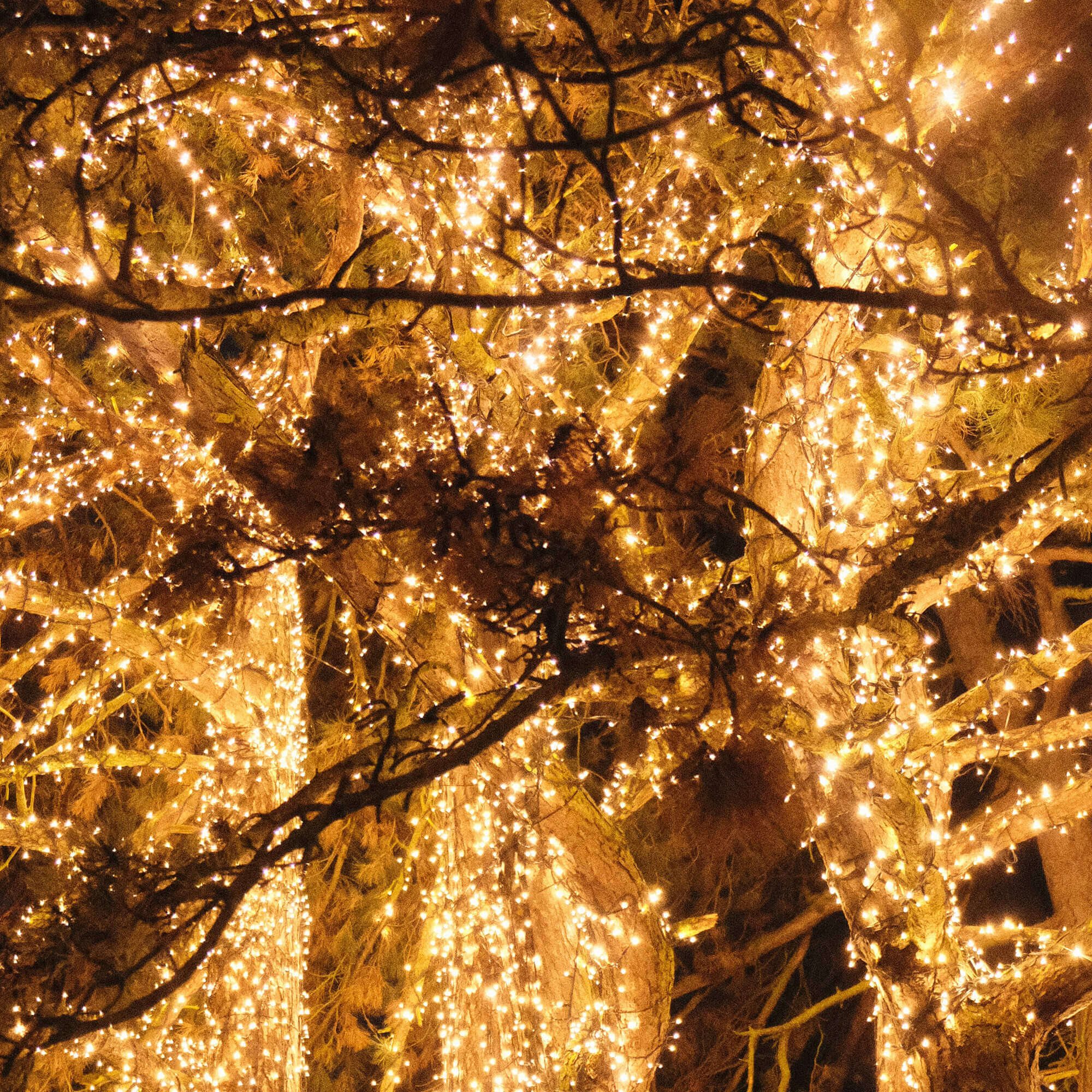 Kalėdinės girliandos springos 300 led 17,5 m