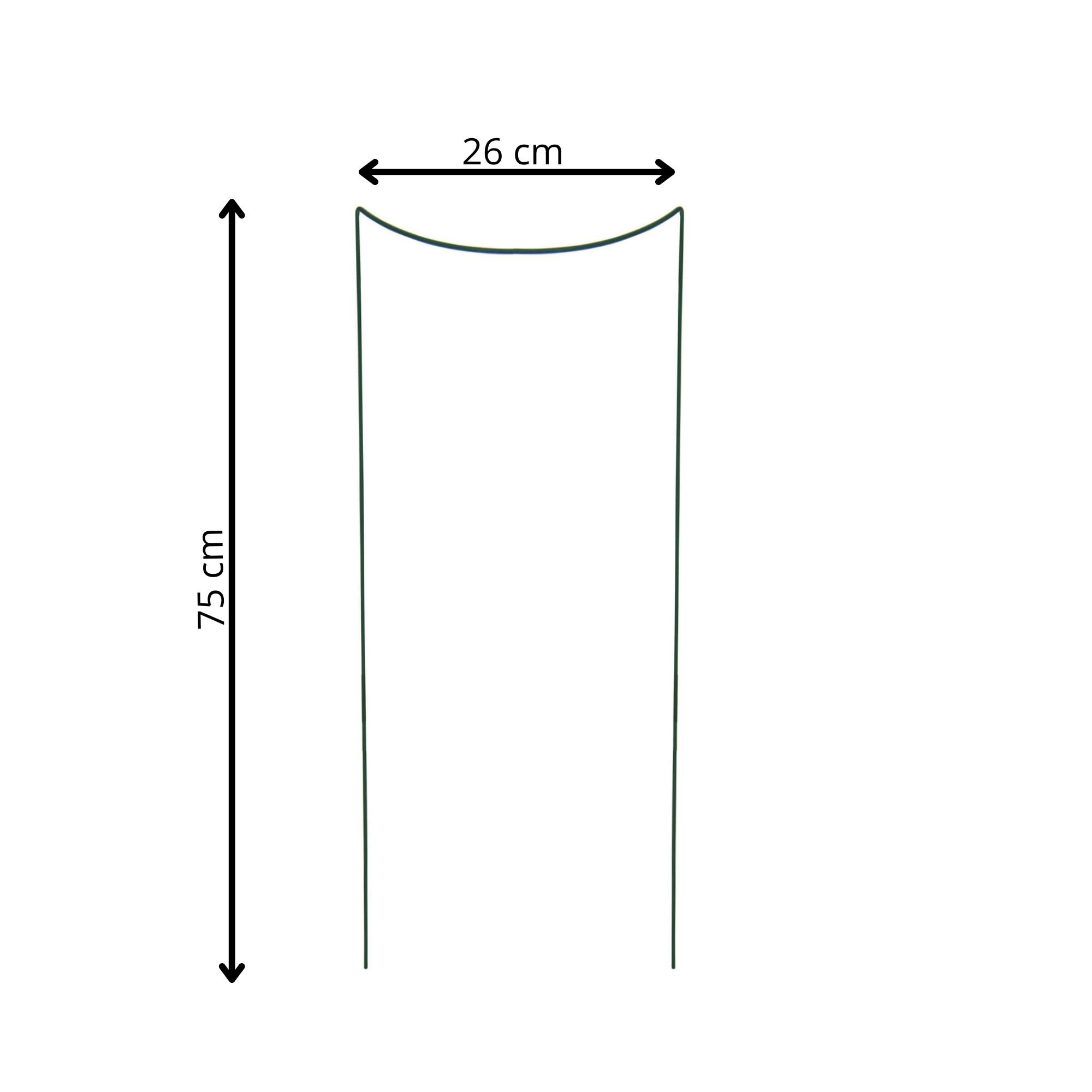 Augalų atrama springos 75 cm, žalia, 3 dalių 1