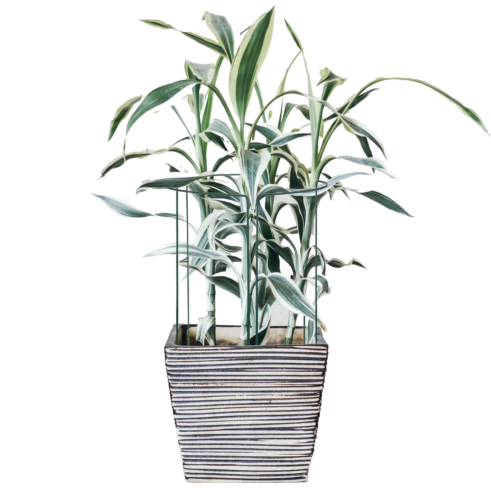 Metalinė atrama augalams springos ha5169, 45 cm