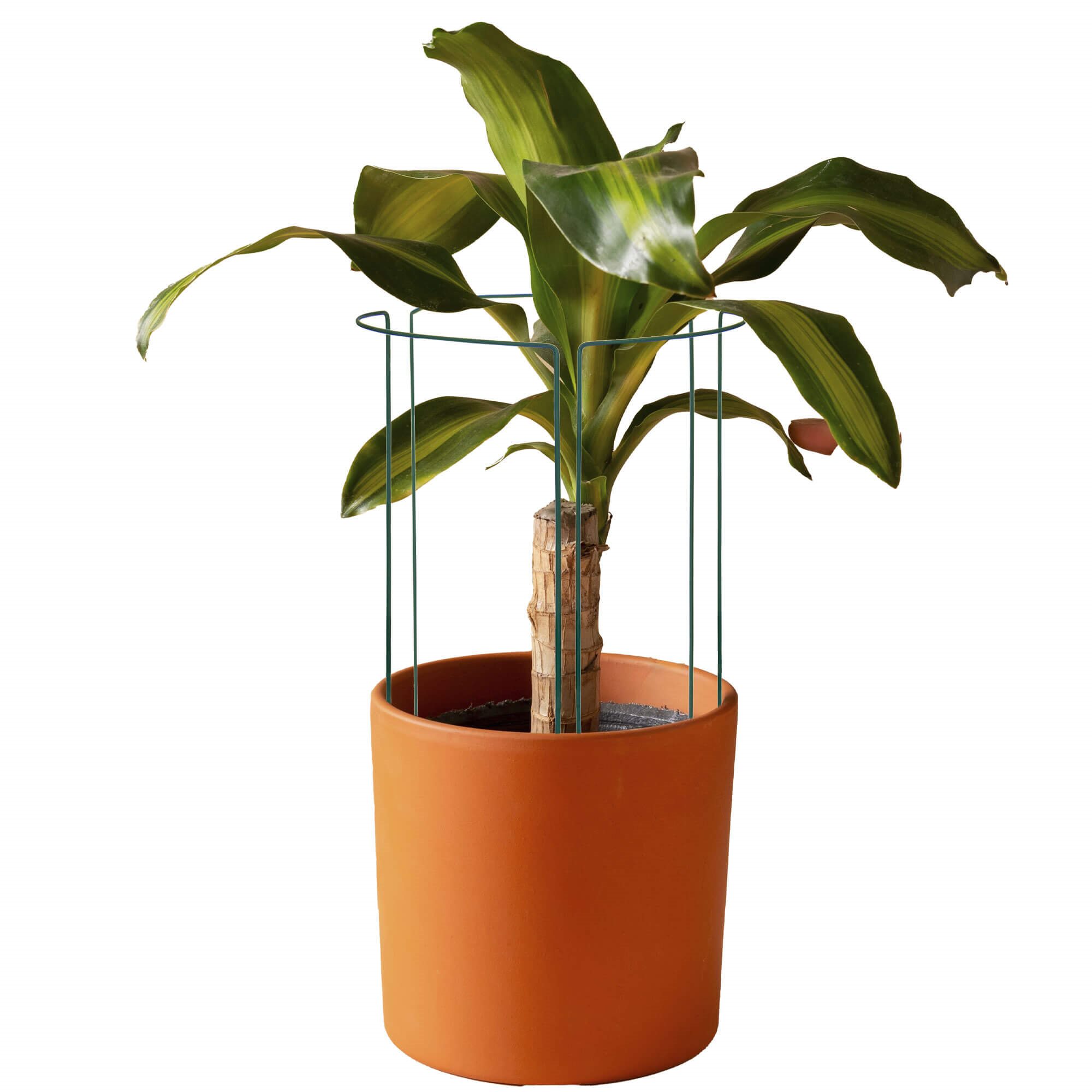 Metalinė atrama augalams springos ha5169, 45 cm 1