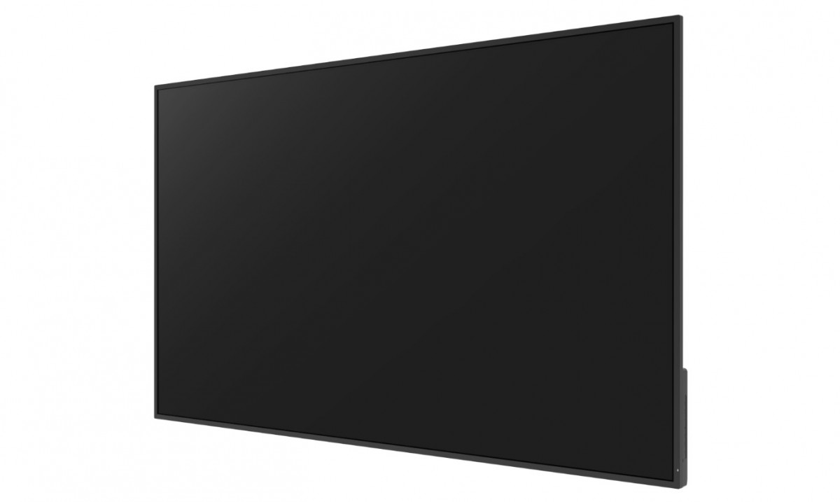 Monitorius avtek ds 55, 55