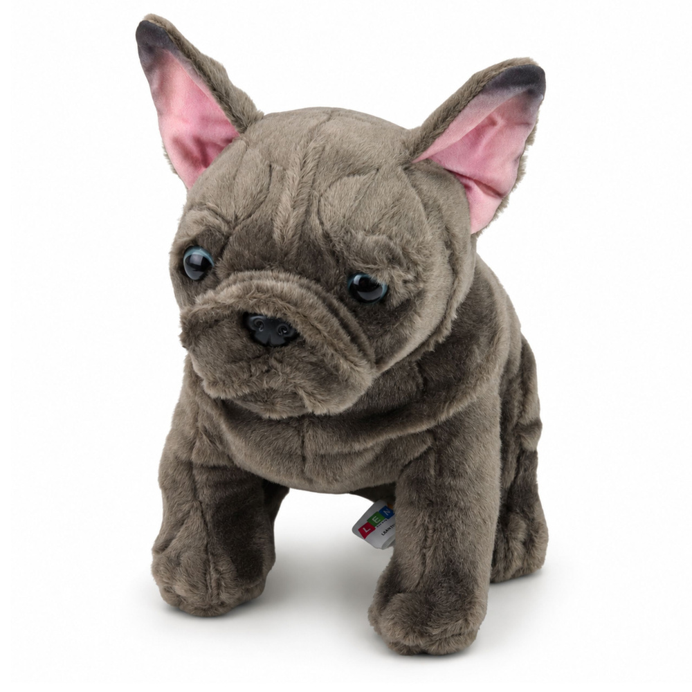 Pliušinis prancūzų buldogas 22 cm 3