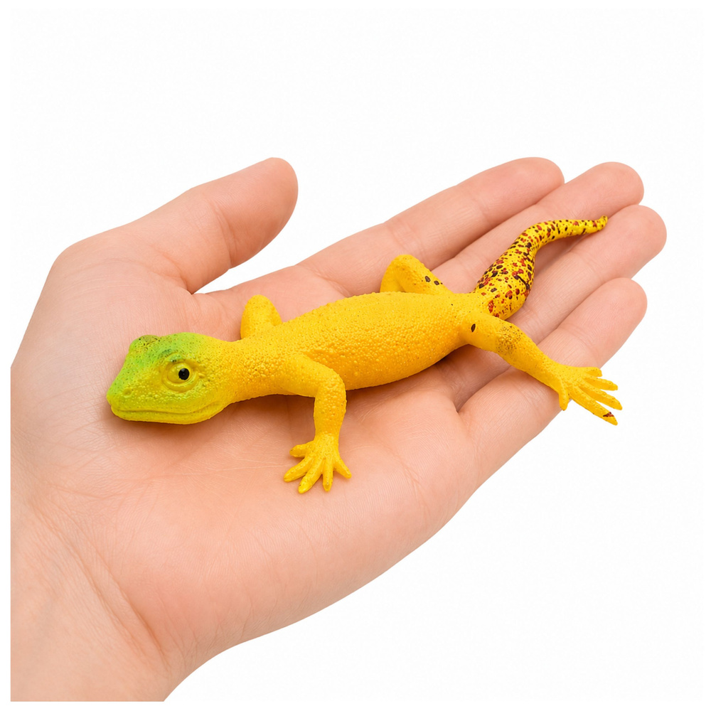 Gekonas 15.5 cm