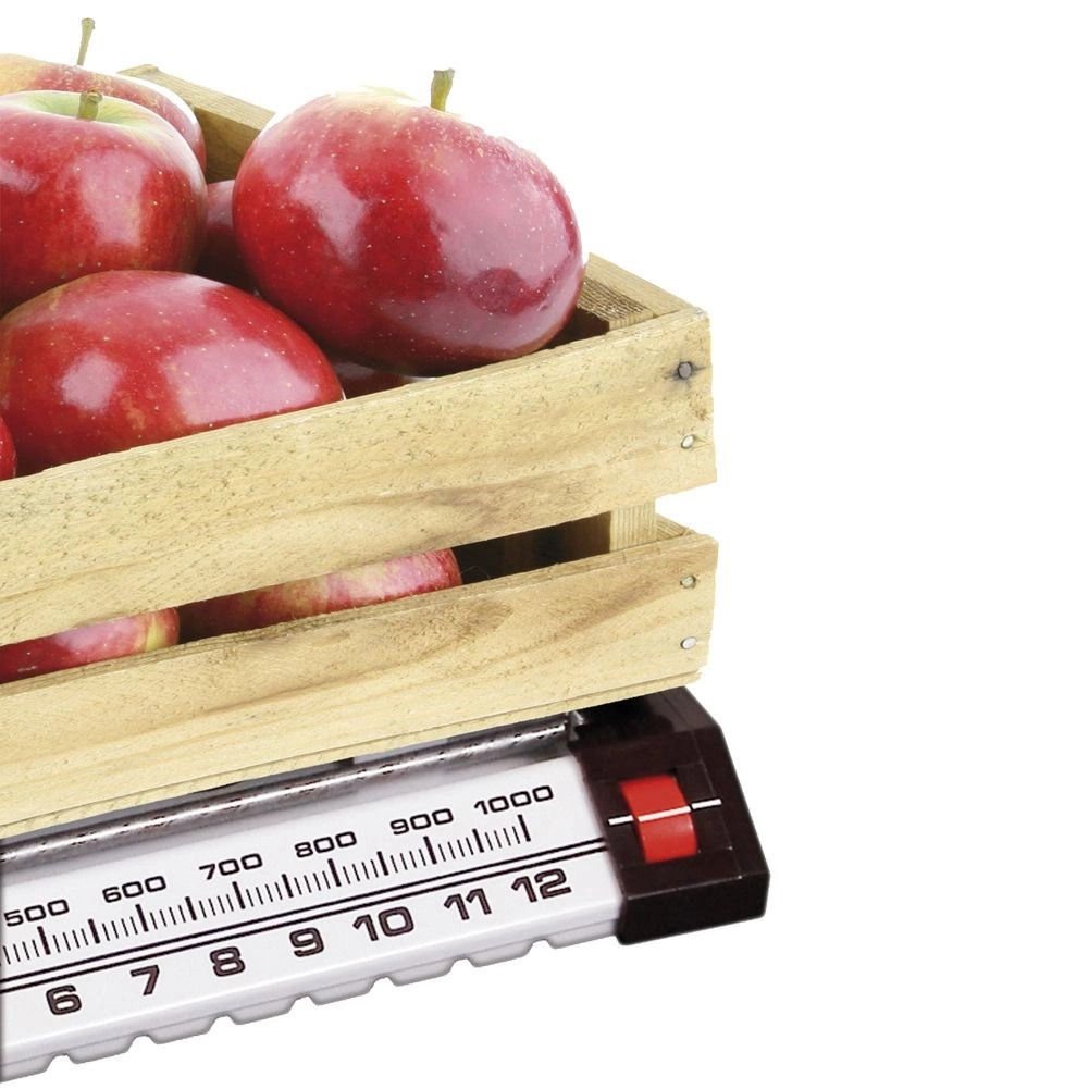 Virtuvinės svarstyklės 13 kg 2