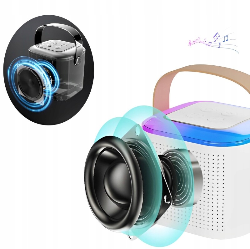 Belaidis karaoke rinkinys: bluetooth garsiakalbis su 2 mikrofonais