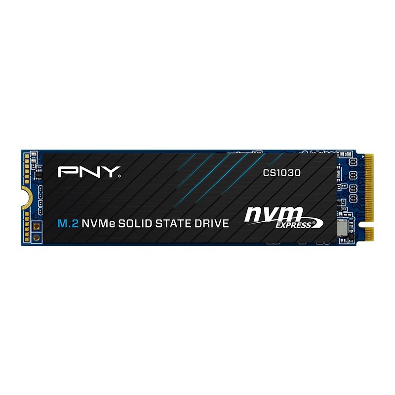 Ssd vidinis kietasis diskas pny cs1030 m.2 nvme 250 gb
