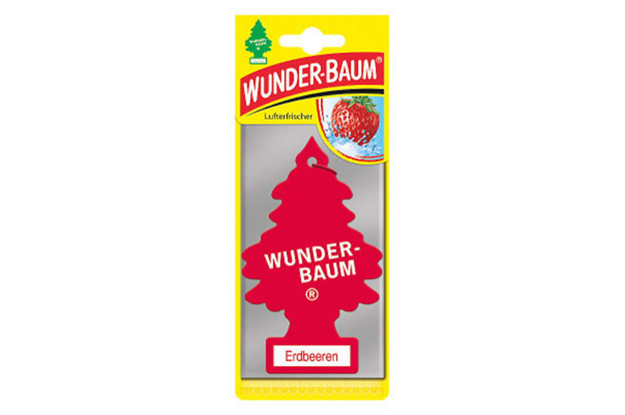 Automobilio oro gaiviklis wunder-baum strawberry