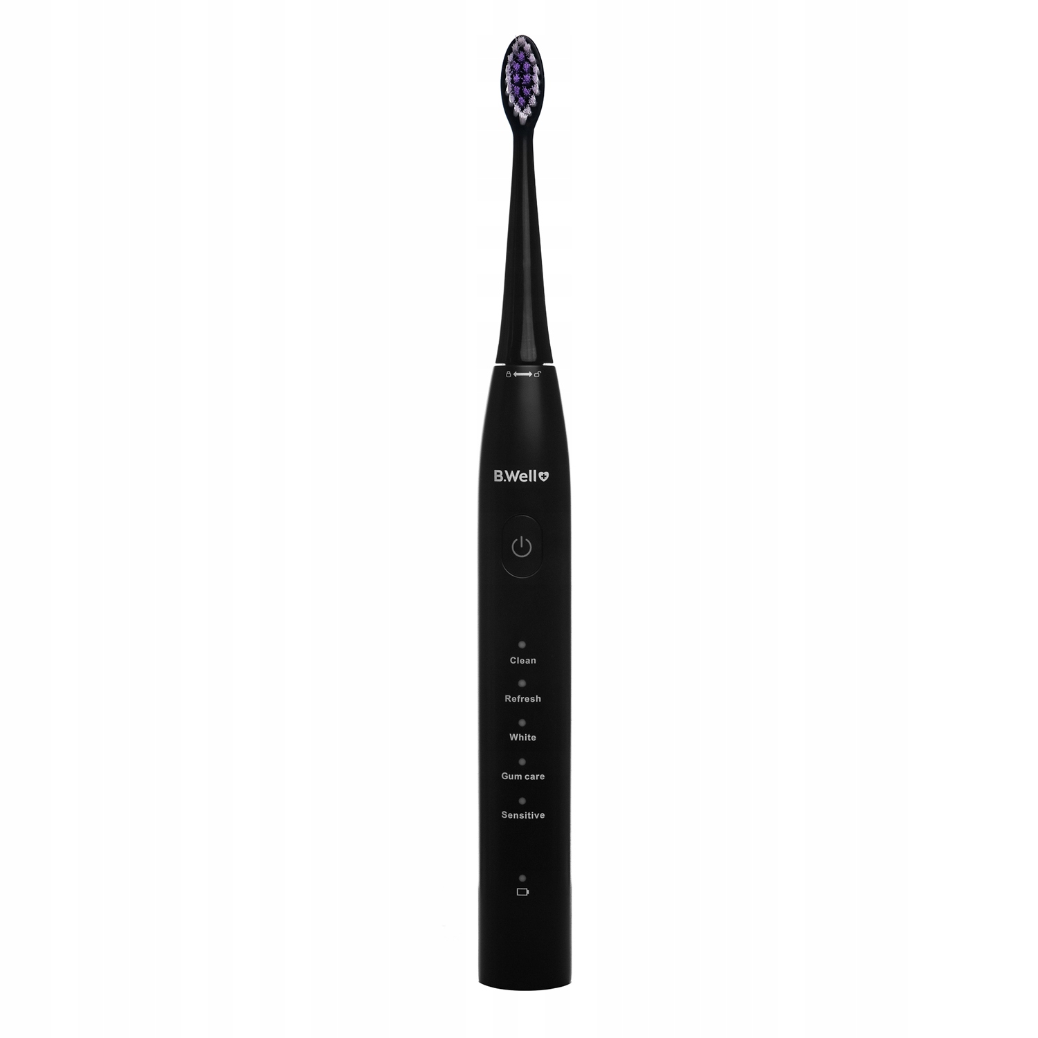 B.Well PRO-850