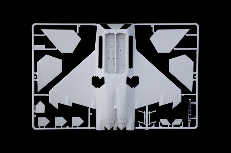 Italeri - f-22 raptor, 1/48, 2822