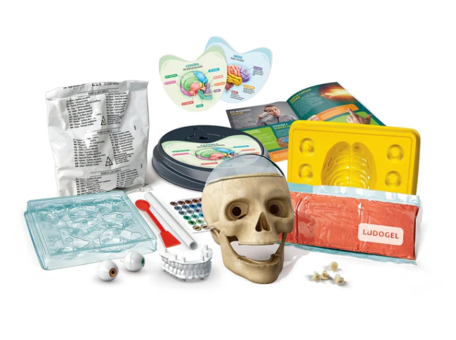 Žaidimų rinkinys „crazy anatomy“ clementoni 50697