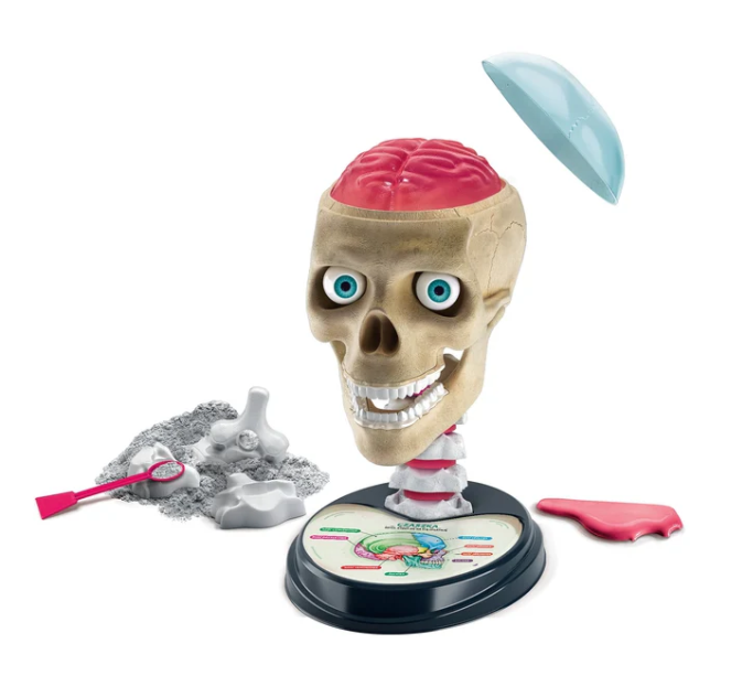 Žaidimų rinkinys „crazy anatomy“ clementoni 50697