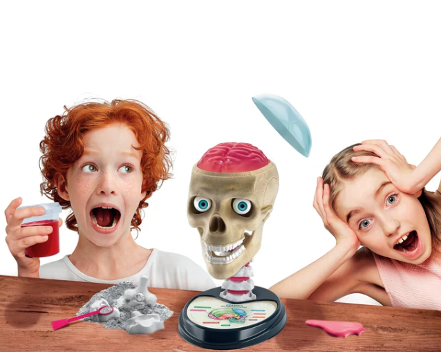 Žaidimų rinkinys „crazy anatomy“ clementoni 50697