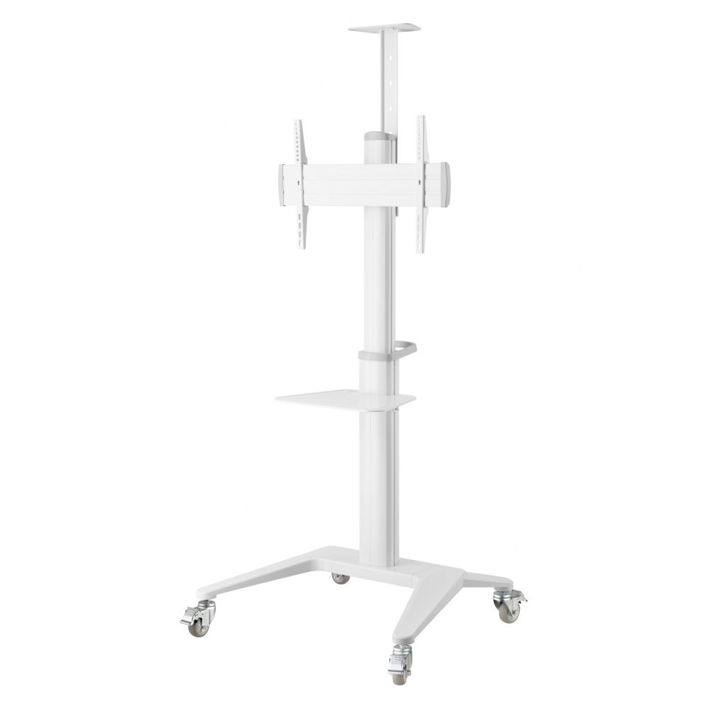Tv laikiklis techly 362176 37-70”