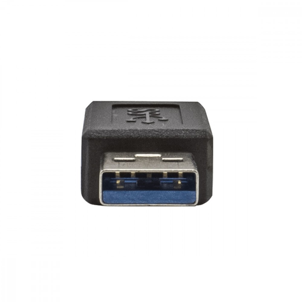 I-tec c31typea