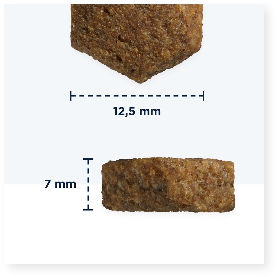 Eukanuba grain free didelių veislių šuniukams, 3 kg