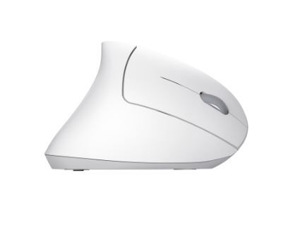 Belaidė pelė trust 25132