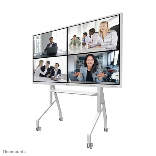 Tv laikiklis neomounts fl50-525wh1 55-86”