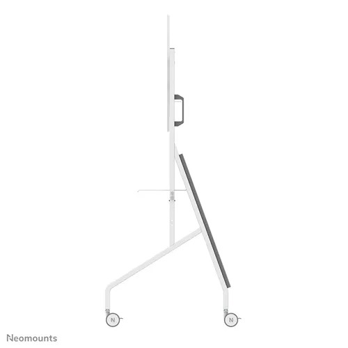 Tv laikiklis neomounts fl50-525wh1 55-86”