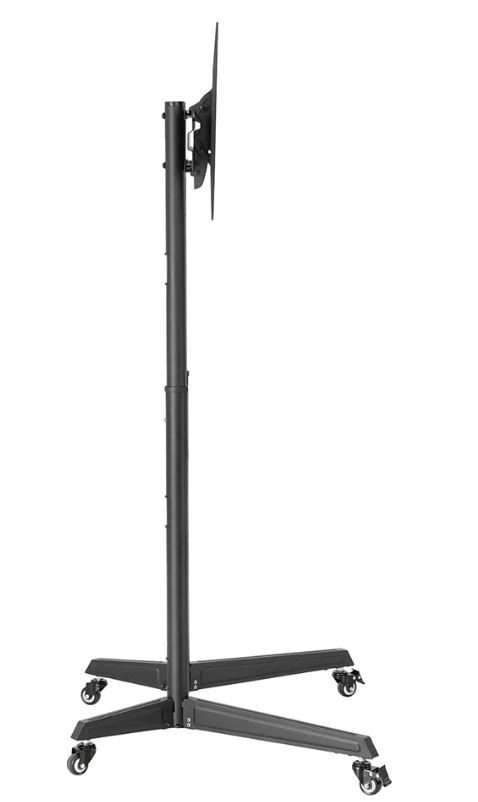 Monitoriaus laikiklis monitoriaus laikiklis newstar fl50-540bl1