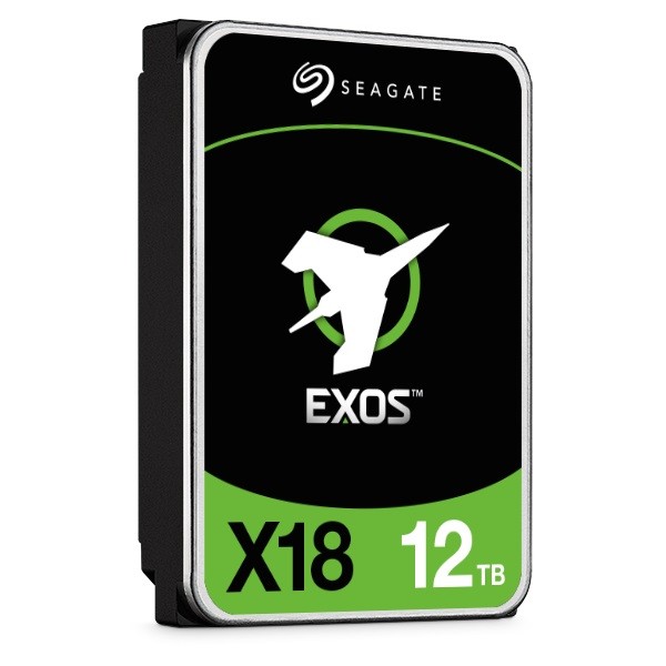 Hdd vidinis kietasis diskas seagate st12000nm000j