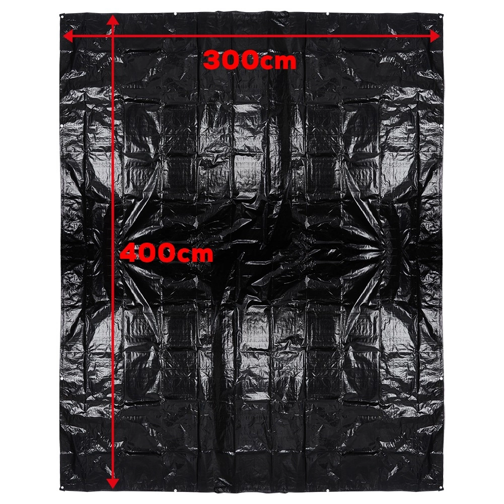 Palapinės grindų kilimėlis 300 × 400 cm 2