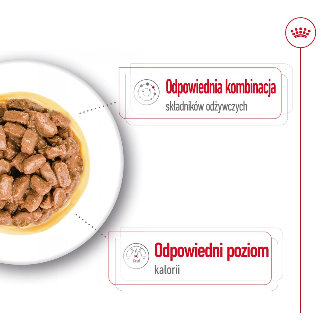 Royal canin karma mini ageing 12+ vyresnio amžiaus mažų veislių šunims, 12x85 g