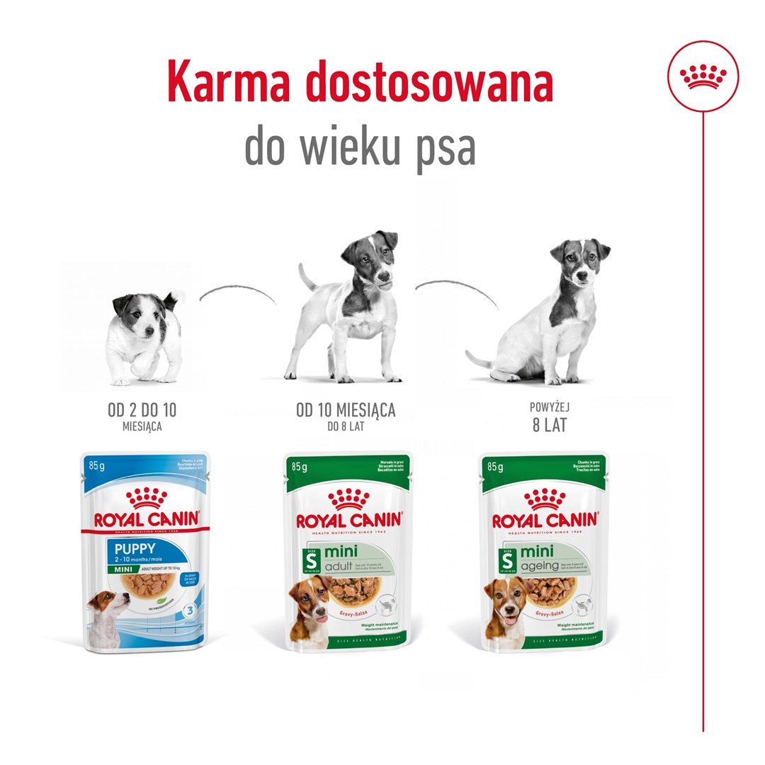 Royal canin karma mini ageing 12+ vyresnio amžiaus mažų veislių šunims, 12x85 g