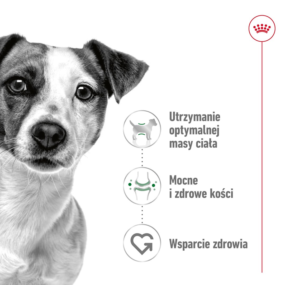Royal canin karma royal canin shn mini adult w sosie 12x85g