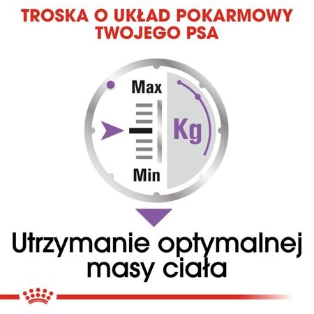 Royal Canin Sterilised Drėgnas Maistas Šunims, 12 X 85 G